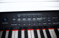 RINGWAY TG8862 POLISH WHITE