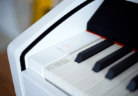 RINGWAY TG8862 POLISH WHITE