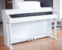 RINGWAY TG8862 POLISH WHITE