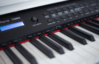 RINGWAY TG8862 POLISH WHITE