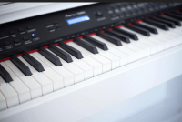 RINGWAY TG8862 POLISH WHITE