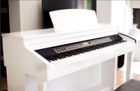 RINGWAY TG8862 POLISH WHITE