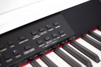 RINGWAY TG8862 POLISH WHITE