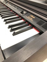 ARTESIA DP150E RW