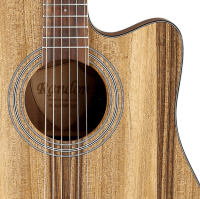 RANDON RGI-PW1CE