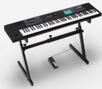 ROLAND JUNO-DS76