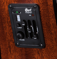 CORT AD880CE W/BAG BK