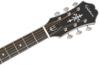 EPIPHONE SST COUPE EB