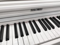 DYNATONE SLP-210 WH