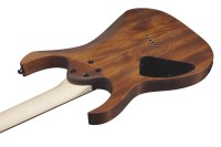 IBANEZ RG421-MOL