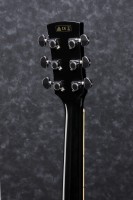 IBANEZ PF15ECE BK