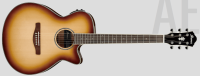 IBANEZ AEG10II-NNB