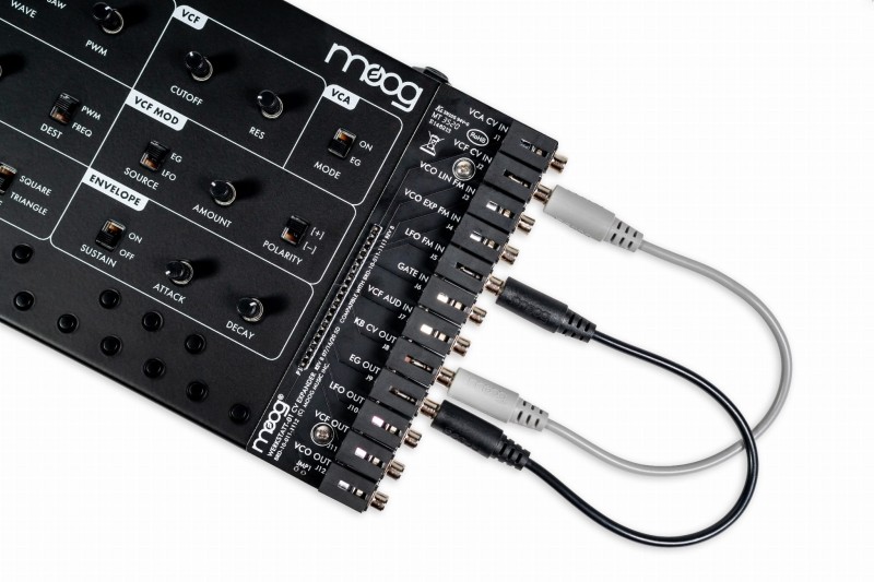 MOOG WERKSTATT-01 CV EXPANDER
