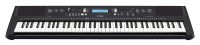 YAMAHA PSR-EW310