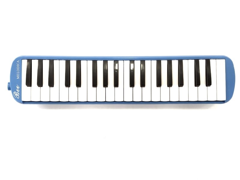 KG BM37K BL MELODYKA NIEBIESKA