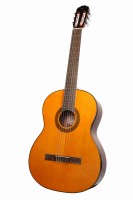 TAKAMINE GC1-NAT