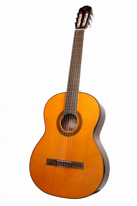 TAKAMINE GC1-NAT