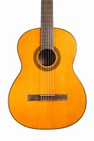 TAKAMINE GC1-NAT