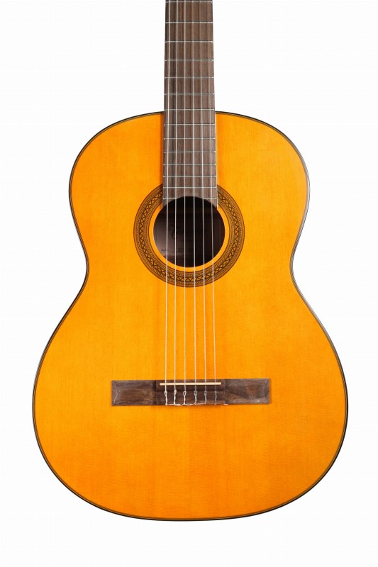 TAKAMINE GC1-NAT