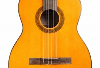 TAKAMINE GC1-NAT