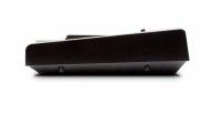 ALESIS RECITAL 61
