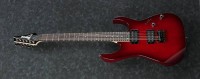 IBANEZ RG421-BBS