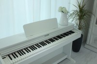 DYNATONE SLP-360 WH