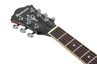 IBANEZ AS53L TF