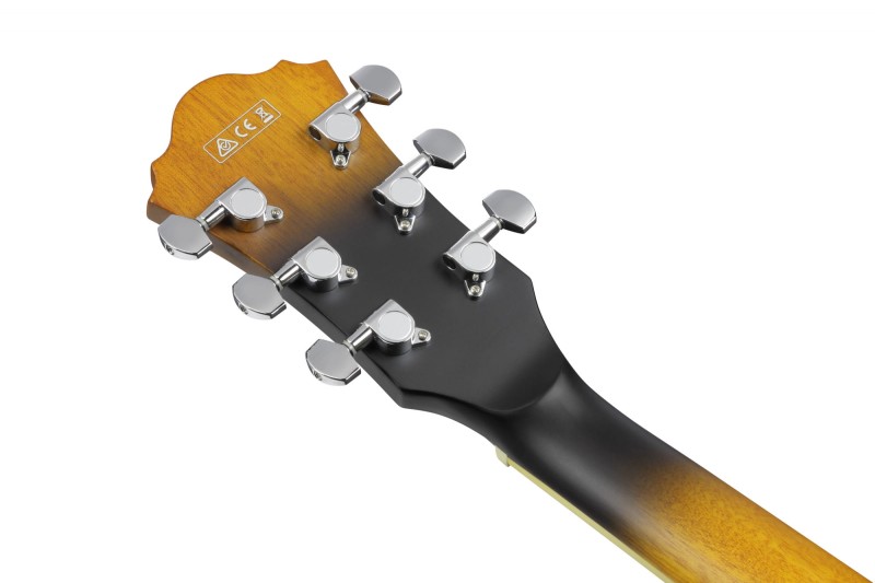 IBANEZ AS53L TF