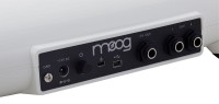 MOOG THEREMINI