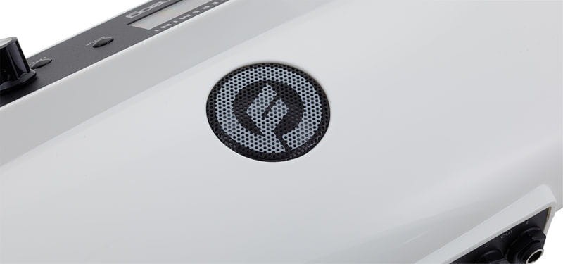 MOOG THEREMINI