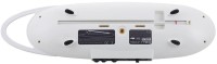 MOOG THEREMINI