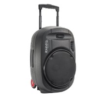 IBIZA PORT 12 UHF MKII