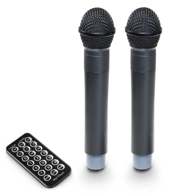 LD SYSTEMS ROADBUDDY 10 HHD 2 B5