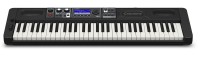 CASIO CT-S500