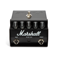 MARSHALL SHREDMASTER
