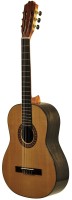 EVER PLAY WALNUT 4/4 TAIKI ZESTAW