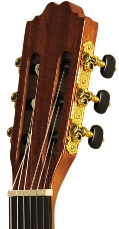 EVER PLAY WALNUT 4/4 TAIKI ZESTAW
