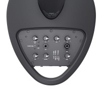 LD SYSTEMS MAUI 5 GO 100