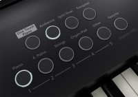 ROLAND FP-E50