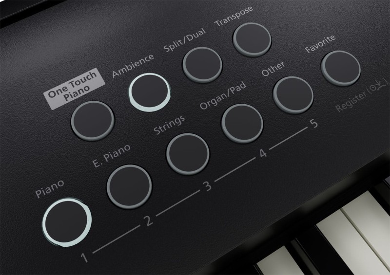 ROLAND FP-E50