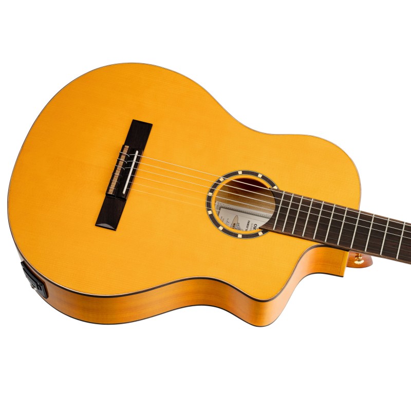 ORTEGA RCE170F
