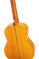 ORTEGA R170F