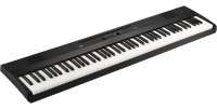KORG L1 LIANO