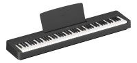 YAMAHA P-145B
