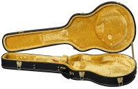 EPIPHONE JIM JAMES ES-335