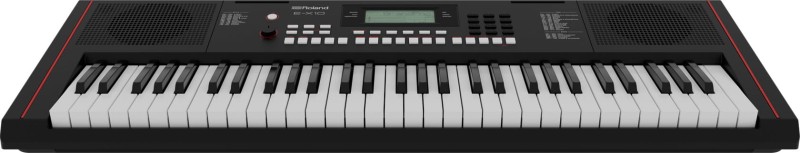 ROLAND E-X10