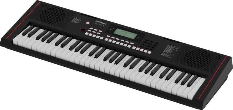 ROLAND E-X10
