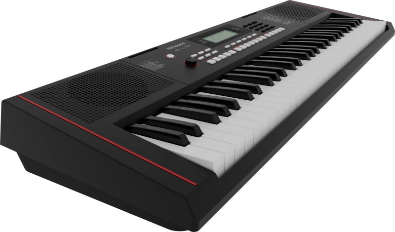 ROLAND E-X10