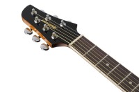 IBANEZ TCY10E-SFH